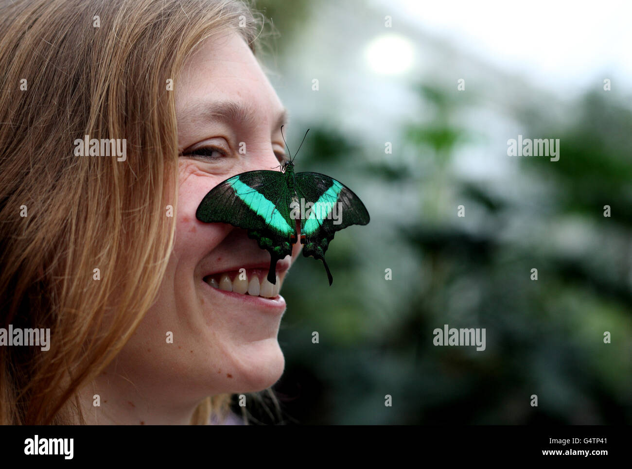 Cara Smith, dipendente di RHS Garden Wisley, si pone con una farfalla Emerald Swallowtail nel loro Glasshouse presso i giardini di Woking, Surrey. Foto Stock