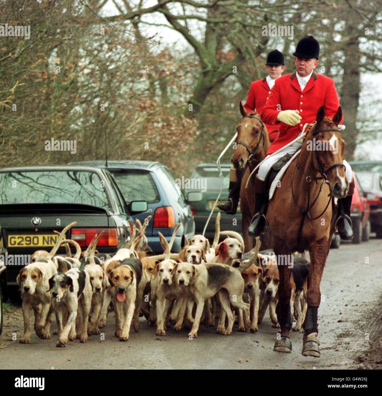 Suoneria piloti Maldon & cani Foto Stock