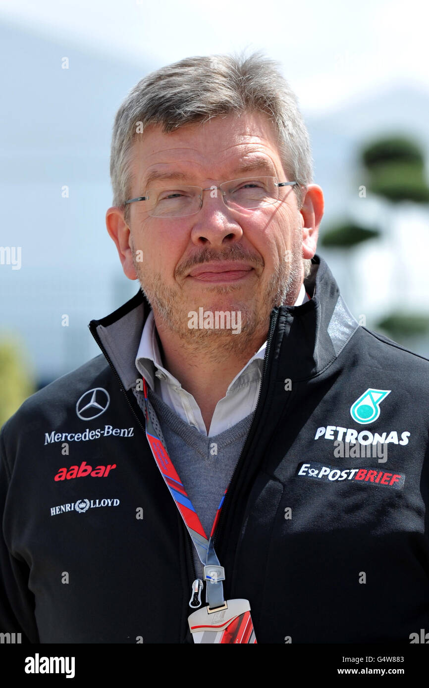 Il team principal della Mercedes GP Petronas Ross Brawn arriva a Silverstone durante la giornata dei paddock per il Gran Premio di Formula uno Santander al circuito di Silverstone, Northampton. Foto Stock