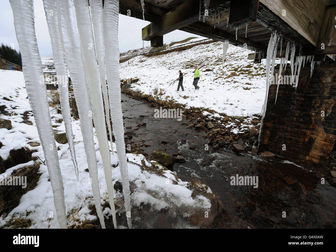 I lavoratori forestali ammirano le enormi sicle della contea di Durham, poiché il clima invernale è dovuto a spazzare il paese. Foto Stock