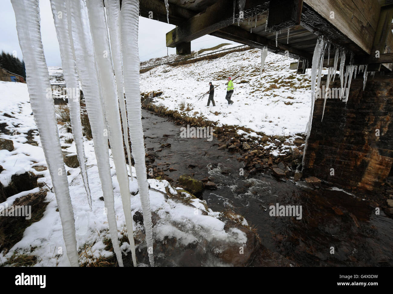 I lavoratori forestali ammirano le enormi sicle della contea di Durham, poiché il clima invernale è dovuto a spazzare il paese. Foto Stock
