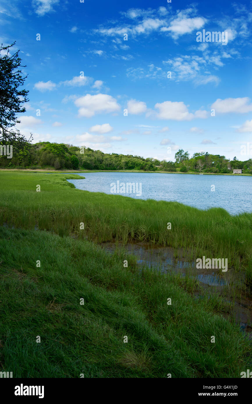 Stagno di sale, Cape Cod, Massachusetts in una giornata di sole Foto Stock