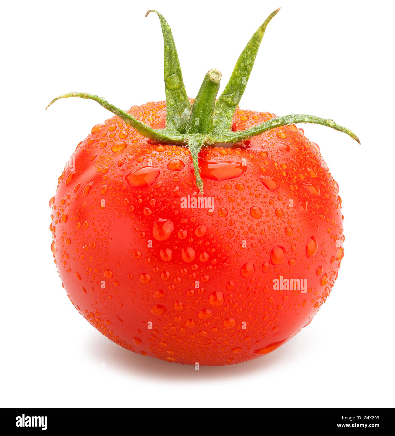 Pomodoro rosso isolato Foto Stock