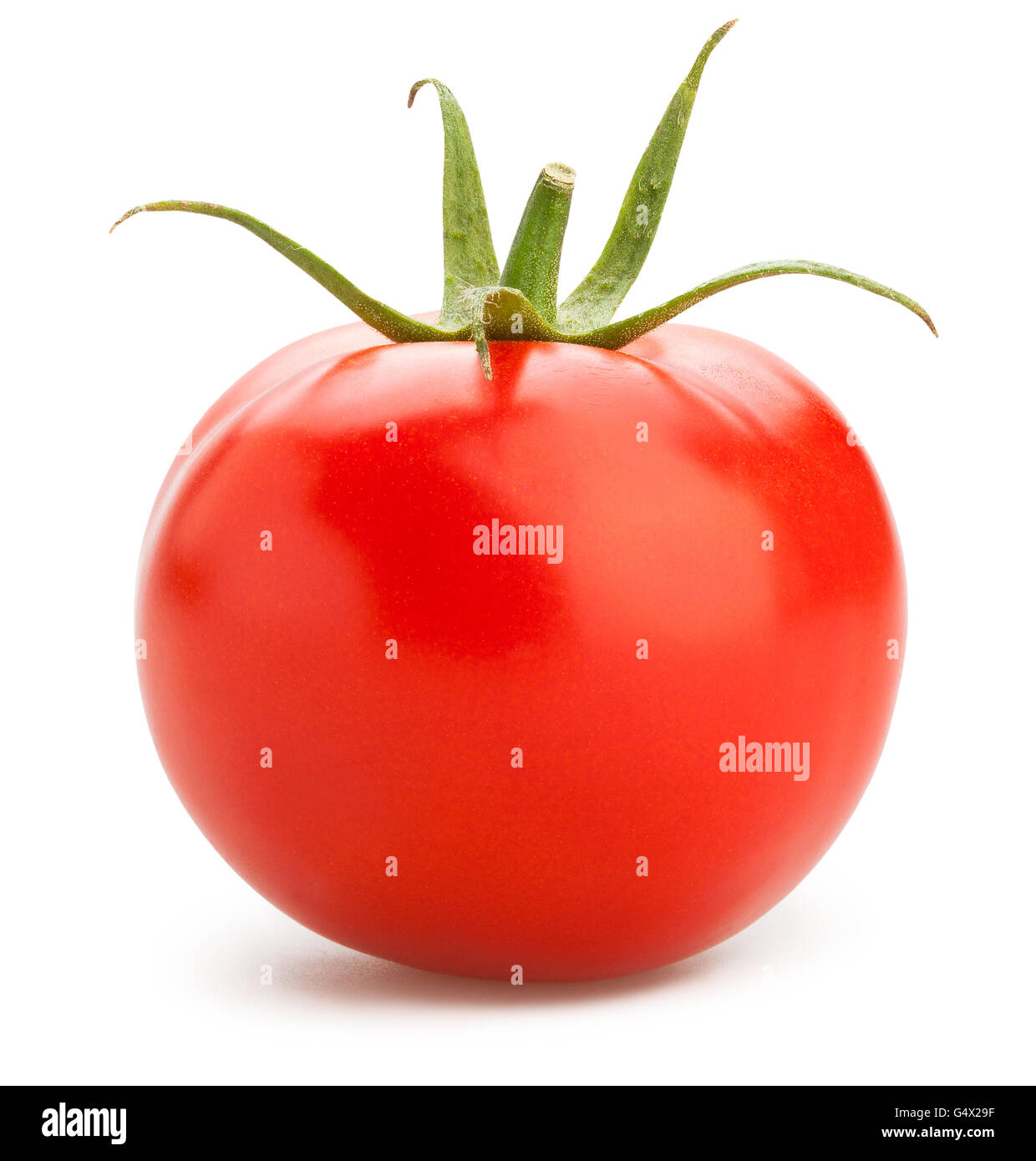 Pomodoro rosso isolato Foto Stock