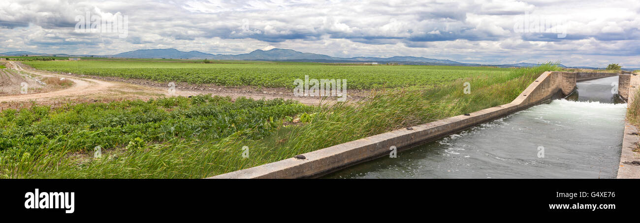 Enorme canale di irrigazione scorre sopra i prati fertili di alta Guadiana o Vegas Altas, Estremadura, Spagna. Scatto panoramico Foto Stock