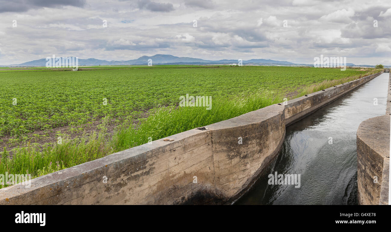 Enorme canale di irrigazione scorre sopra i prati fertili di alta Guadiana o Vegas Altas, Estremadura, Spagna. Scatto panoramico Foto Stock