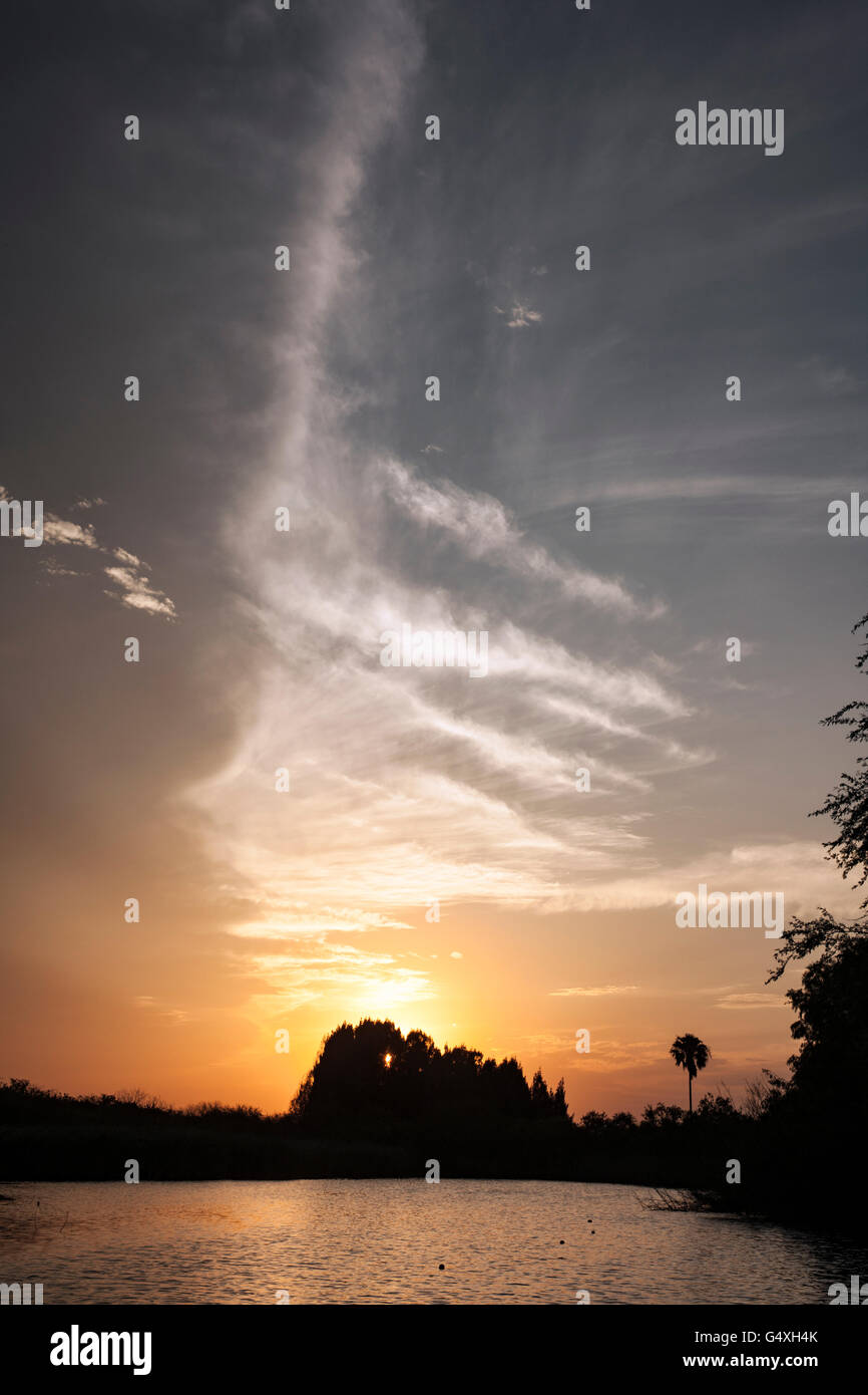 Lago (Resaca) Tramonto a Camp Lula Sams - Brownsville, Texas USA Foto Stock