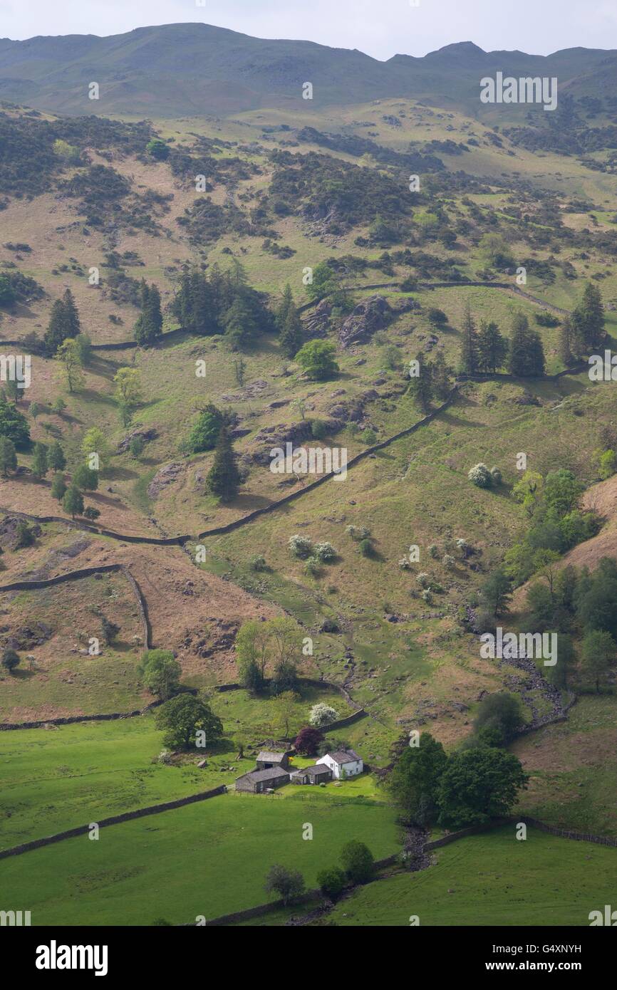 Piccola fattoria di pennini da timone roccioso, nel distretto del lago, Inghilterra Foto Stock