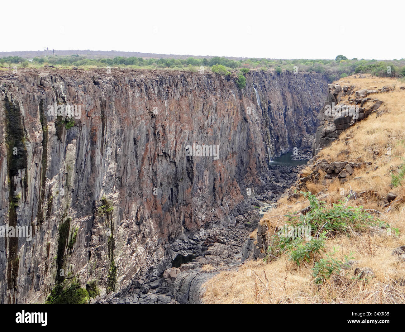 Lo Zimbabwe, Matabeleland North, Hwange, Victoria Falls National Park, Victoria Falls, su Safari Foto Stock