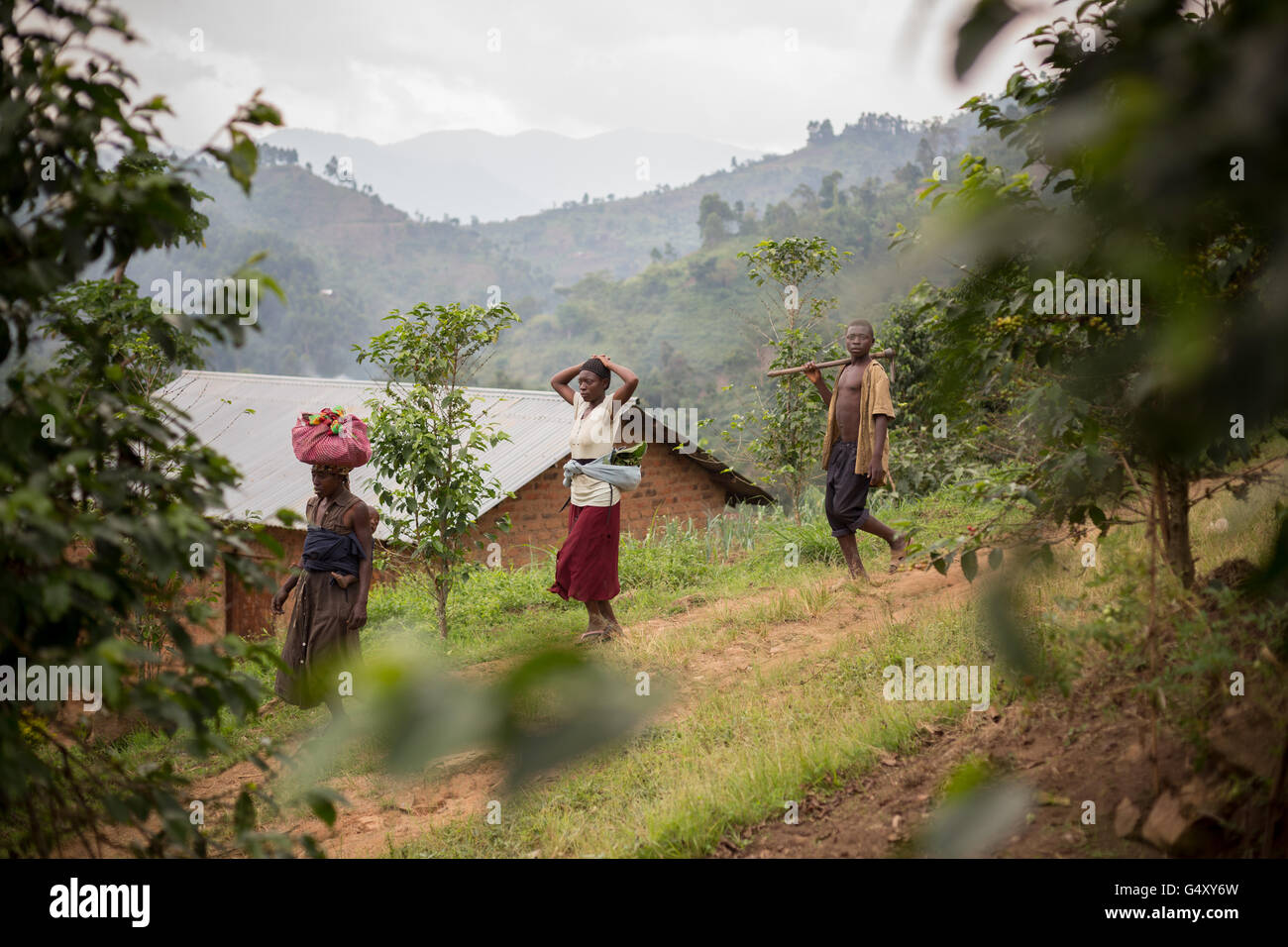 Gli agricoltori a piedi verso il basso un villaggio rurale lane alle pendici del Rwenzori Mountains sulla RDC / Uganda confine. Foto Stock