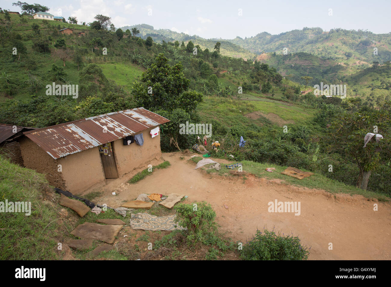 La bellissima Rwenzori Mountains sono visti da Kasese District, Uganda, formando il confine di Uganda e Repubblica Democratica del Congo. Foto Stock