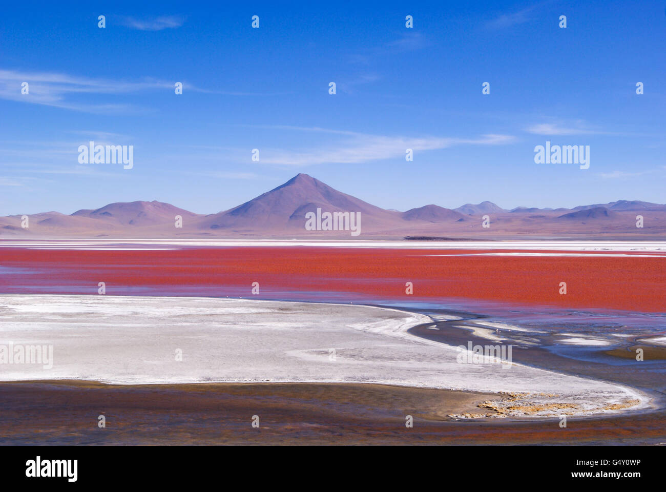 Bolivia, boliviano deserto di sale di Uyuni, Laguna Colorado Foto Stock