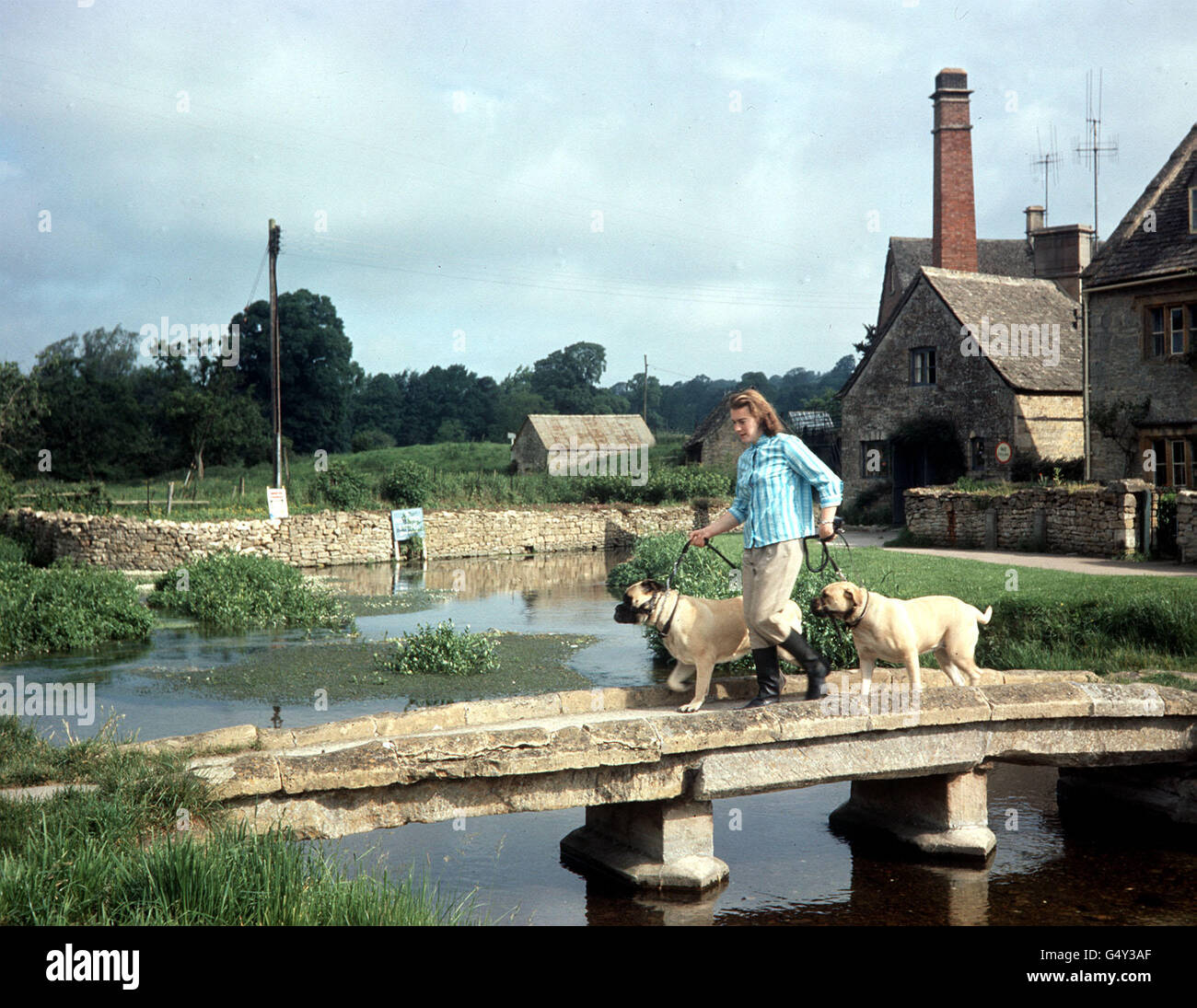 IL COTSWOLDS: 10/6/1964 UNA donna e i suoi cani attraversano uno dei ponti piedi al villaggio di Cotswold di Lower Slaughter, Gloucestershire. Il mulino e ford possono essere visti in background. Foto Stock