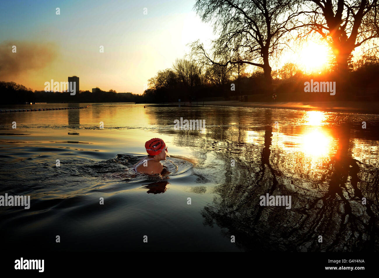 Angela Lurssen brosa il freddo della mattina presto per nuotare nella serpentina di Hyde Park, Londra, come parti della Gran Bretagna sono stati messi in allarme ambra oggi come il paese si trova in attesa di una neve diffusa. Foto Stock