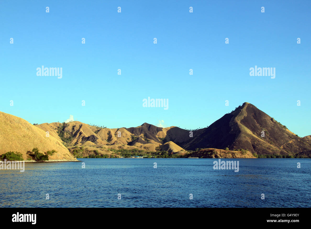 Parco Nazionale di Komodo, visto da the Waterside. Nusa Tenggara, Indonesia. Foto Stock