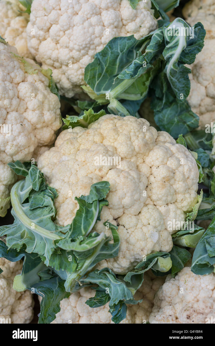 Cavolfiore fresco nel mercato Foto Stock