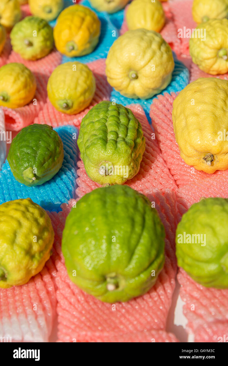 Etrog al mercato per la festa ebraica Sukkot Foto Stock