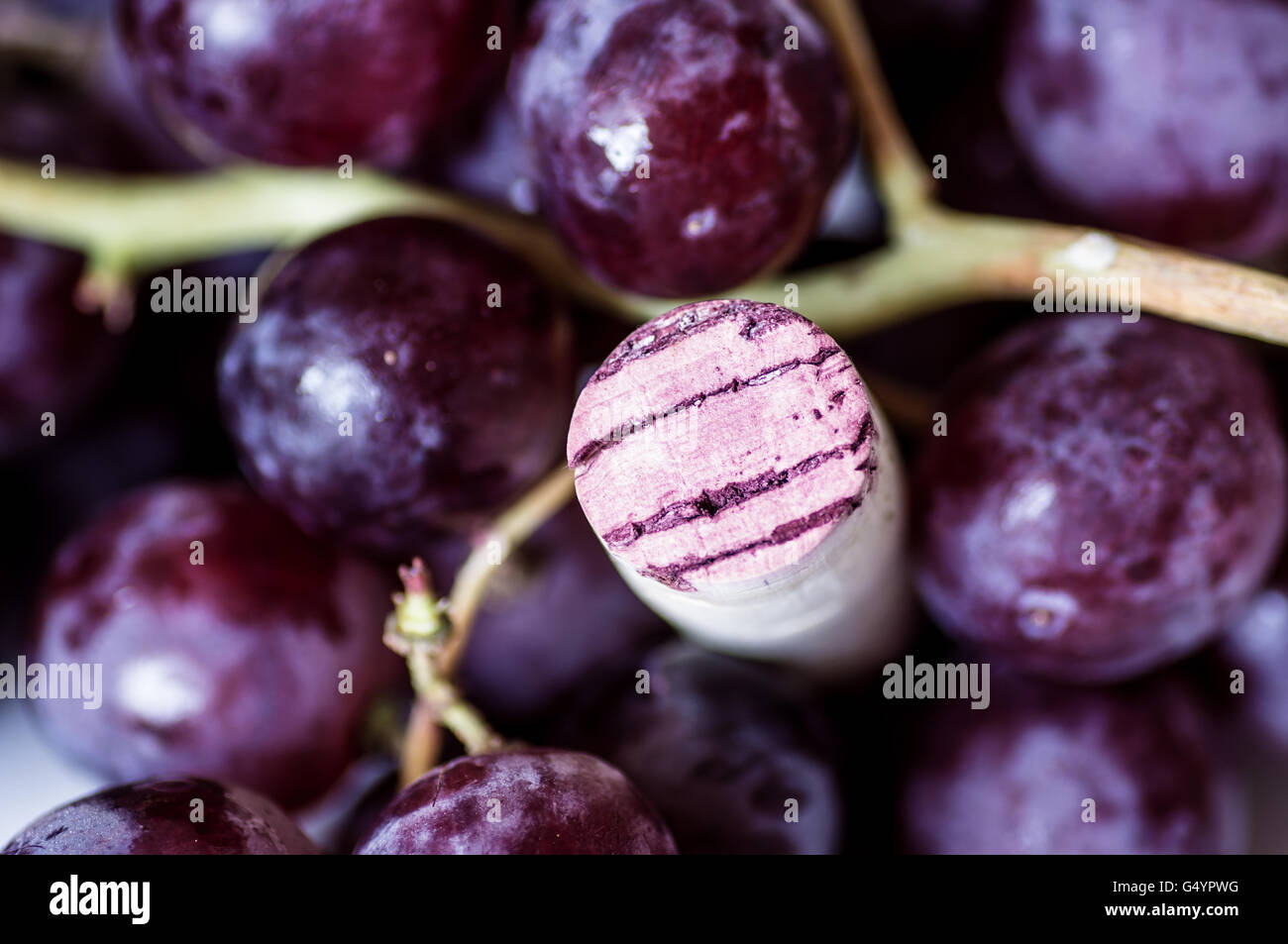Cork vino di uve rosse bacche tra closeup Foto Stock