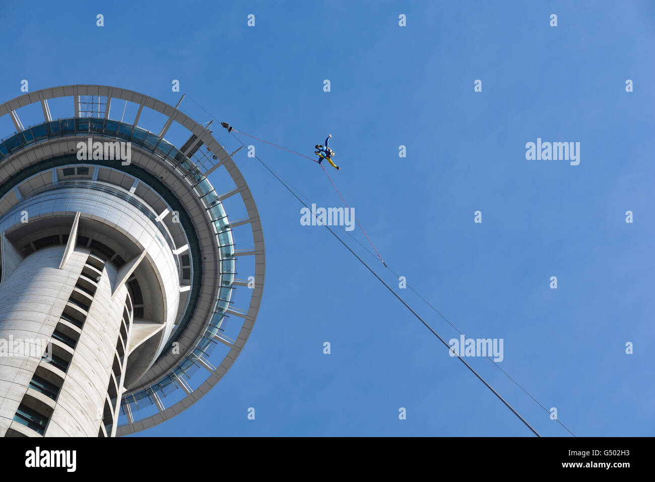 Nuova Zelanda, Auckland, in caduta libera dalla Skytower ad Auckland, Skytower, Skyjump Foto Stock