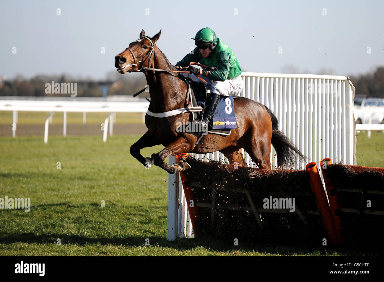 Jockey Barry Geraghty su una Artiste durante il Download William Hill from the App-Store Adonis Juvenile hurdle Foto Stock