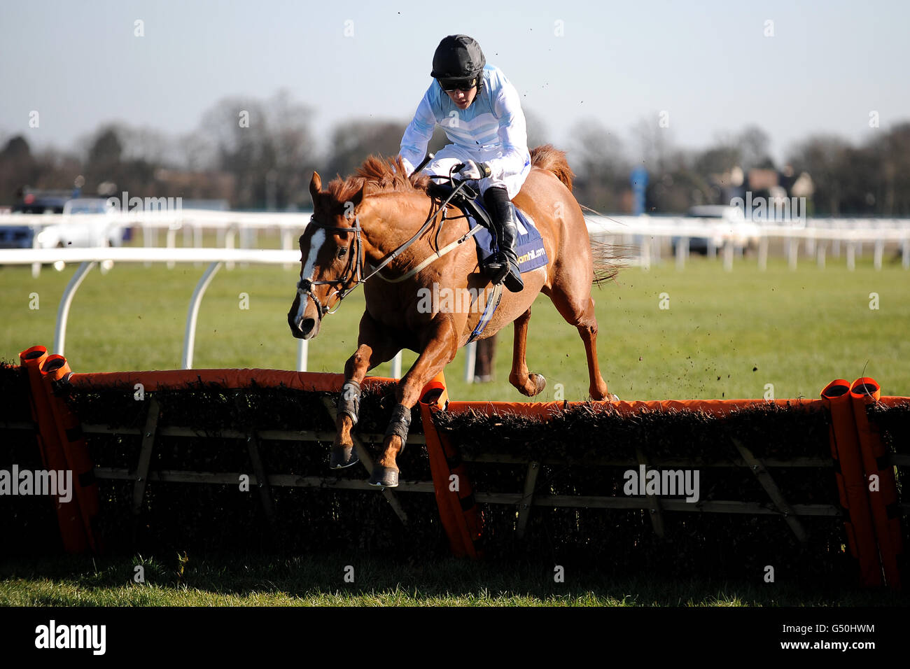 Horse Racing - Racing Plus Chase giorno - Kempton Park Foto Stock