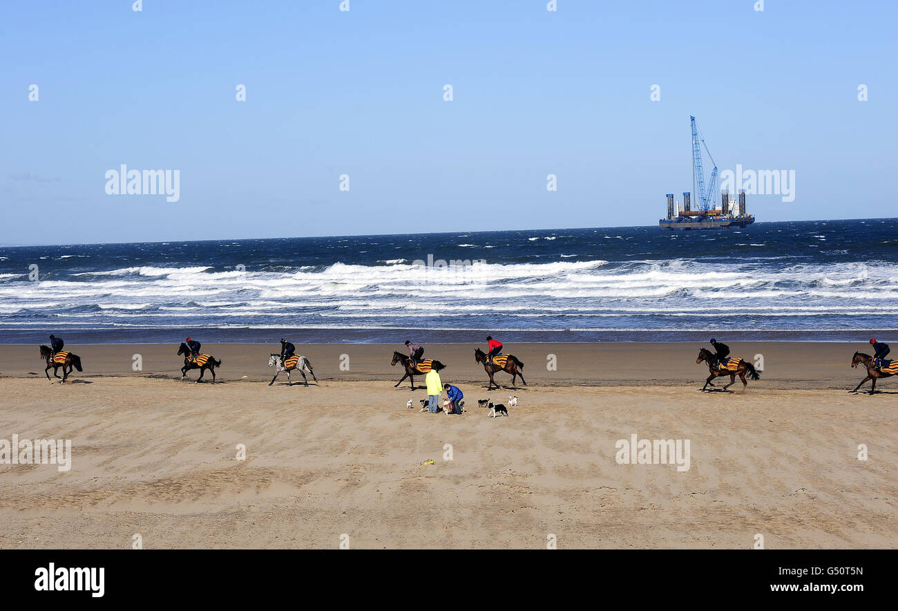 Horse Racing - Ferdy Murphy's cavalli su Redcar Beach Foto Stock