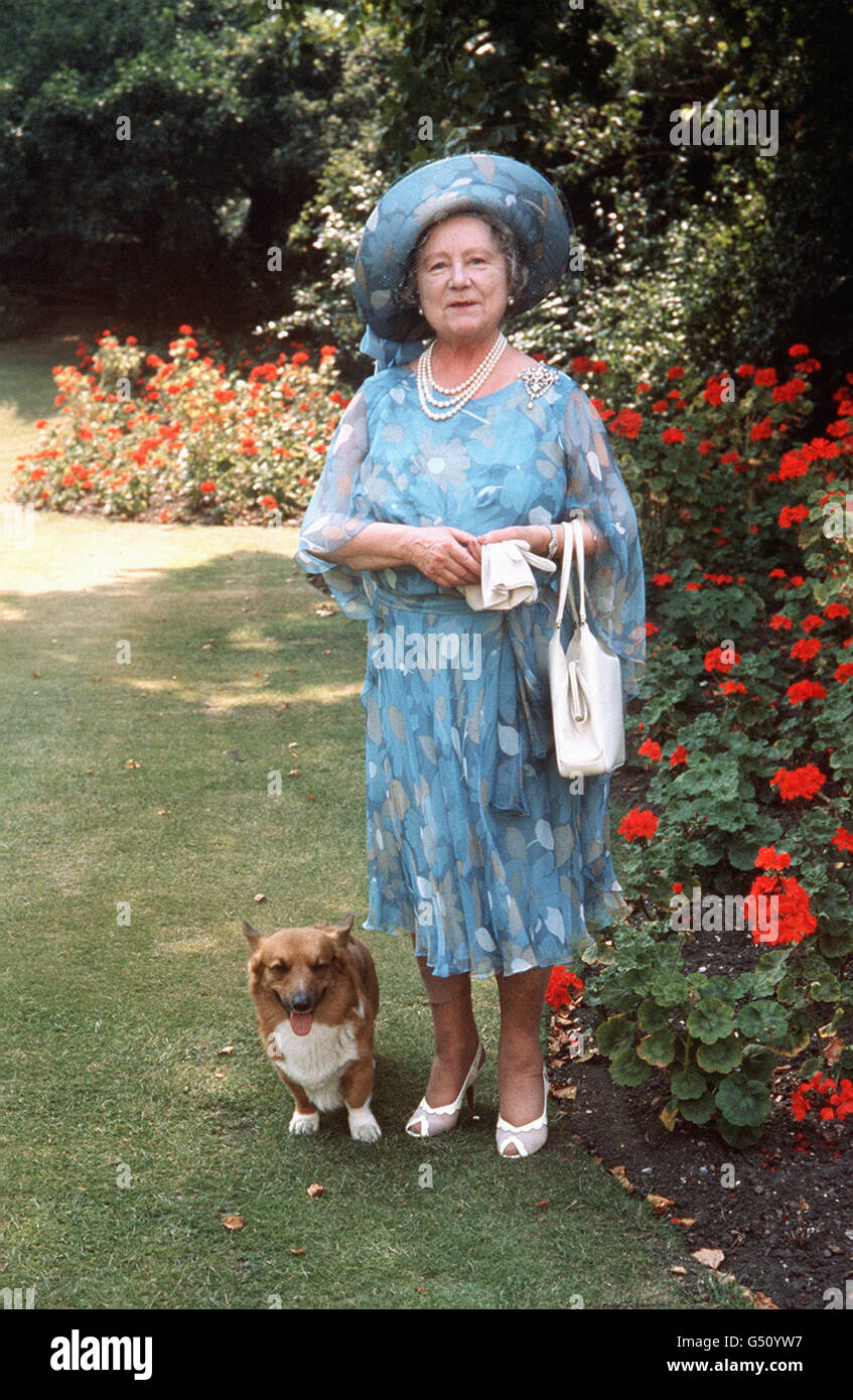 La Regina Madre che cammina nel terreno della sua residenza, Clarence House, con un cane corgi il suo 75° compleanno. Foto Stock