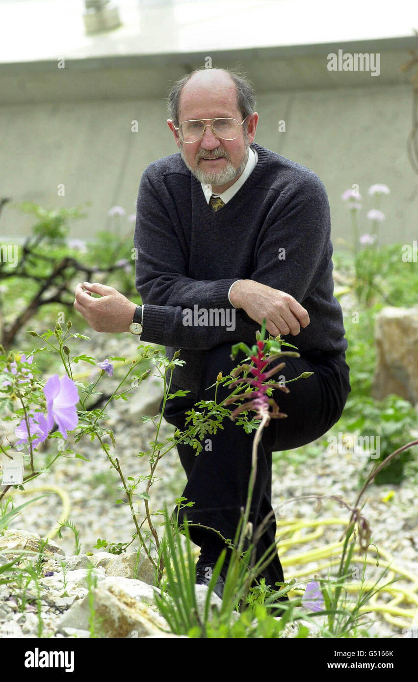 Il professor Charles Stirton, direttore del Giardino Botanico Nazionale del Galles nella Grande Glasshouse . Il progetto da 43.3 milioni di euro è il primo giardino botanico nazionale creato nel Regno Unito per 200 anni. * ci sono stati circa tre anni per costruire un team di circa 500 persone in un sito vicino a Llanarthne, Carmarthenshire, Galles sud-occidentale. Il pezzo centrale è la Grande Glasshouse, che ha una cupola inclinata, e ospita un paesaggio di tipo mediterraneo con ruscelli, cascate e un lago. Foto Stock