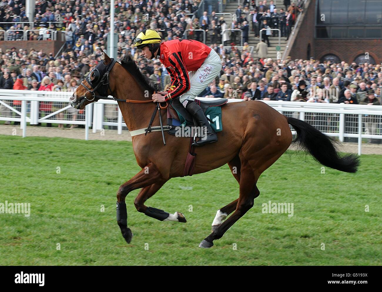 Horse Racing - 2012 Cheltenham Festival - Giorno 2 - Cheltenham Racecourse Foto Stock