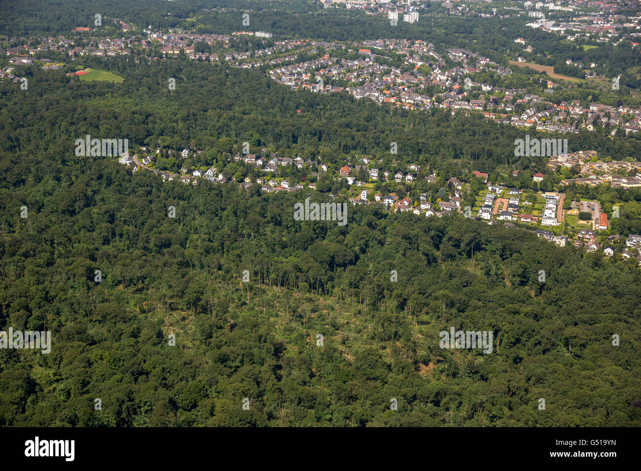 Vista aerea da Bredeney di Stadtwald variava danni, Essen Stadtwald e la zona intorno al Lago Baldeneysee Essen e la regione della Ruhr, Foto Stock