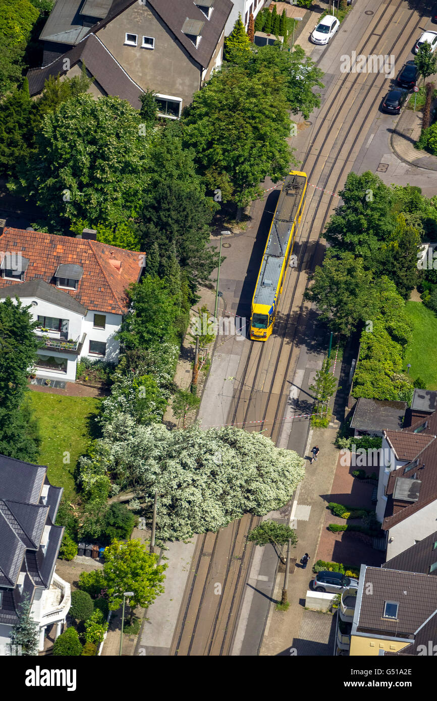 Vista aerea da Bredeney di Stadtwald variava danni, fermata del tram, Essen Stadtwald e la zona intorno al Lago Baldeneysee Foto Stock