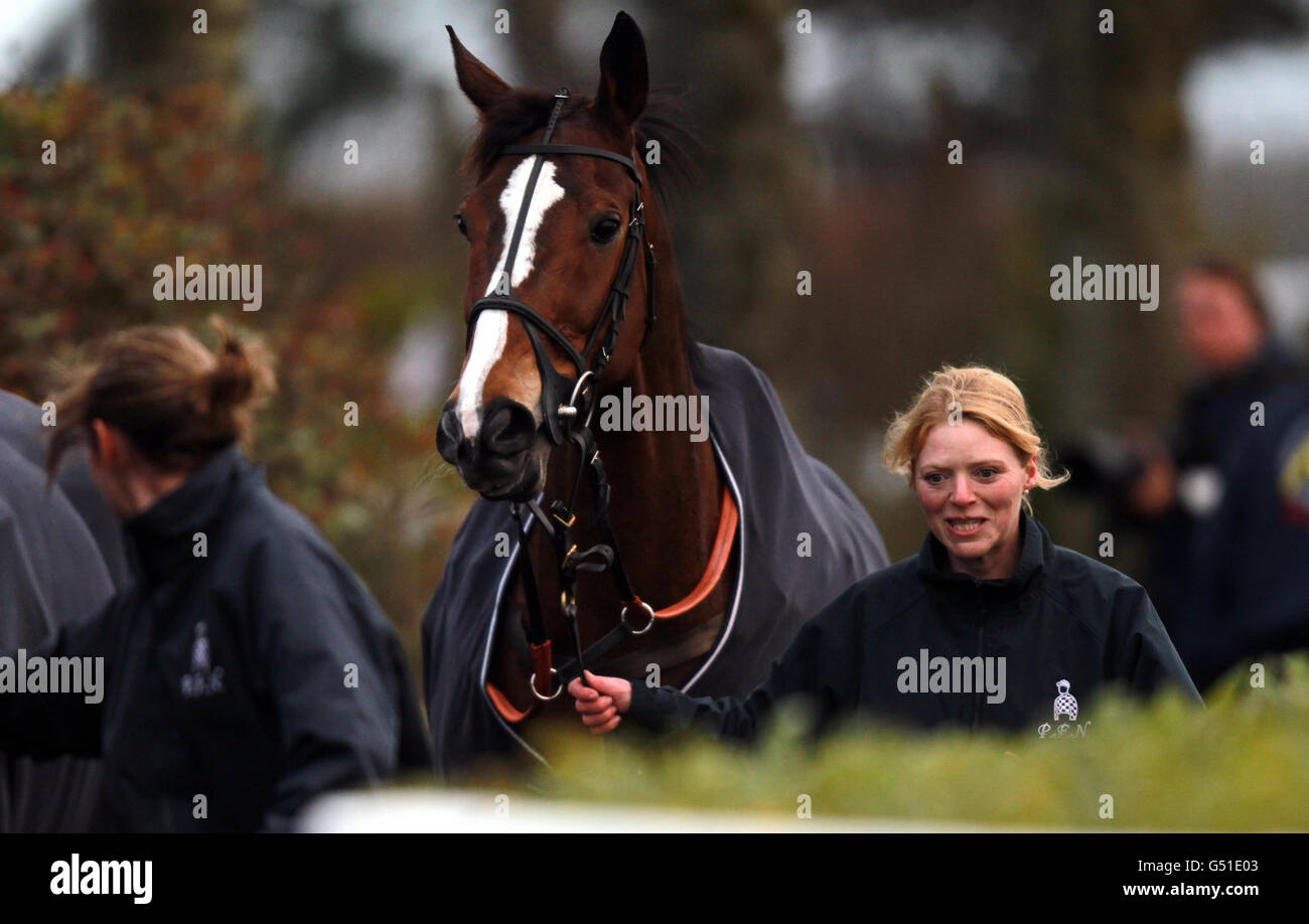 Horse Racing - Wincanton Racecourse Foto Stock