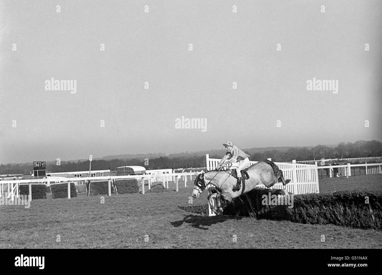 Horse Racing - Sorrel Hurdle - Ascot Heath Gare Foto Stock