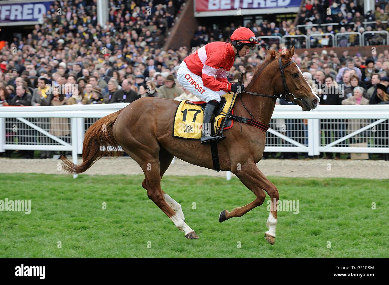 Urbain De Sivola guidato da Noel Fehily che andrà a pubblicare per il JCB Triumph hurdle in Gold Cup Day, durante il Cheltenham Festival. Foto Stock