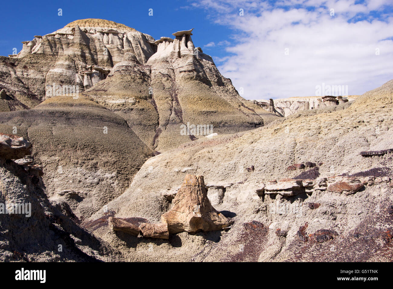 Ah-Shi-Sle-Pah Wilderness Area Studio, un parco nazionale situato nel Nuovo Messico negli Stati Uniti. Foto Stock