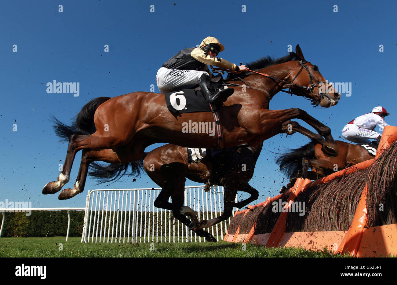 Grandioso guidato da Daryl Jacob nel percorso di Bhest Racing to School Maiden all'ippodromo di Hereford. Foto Stock