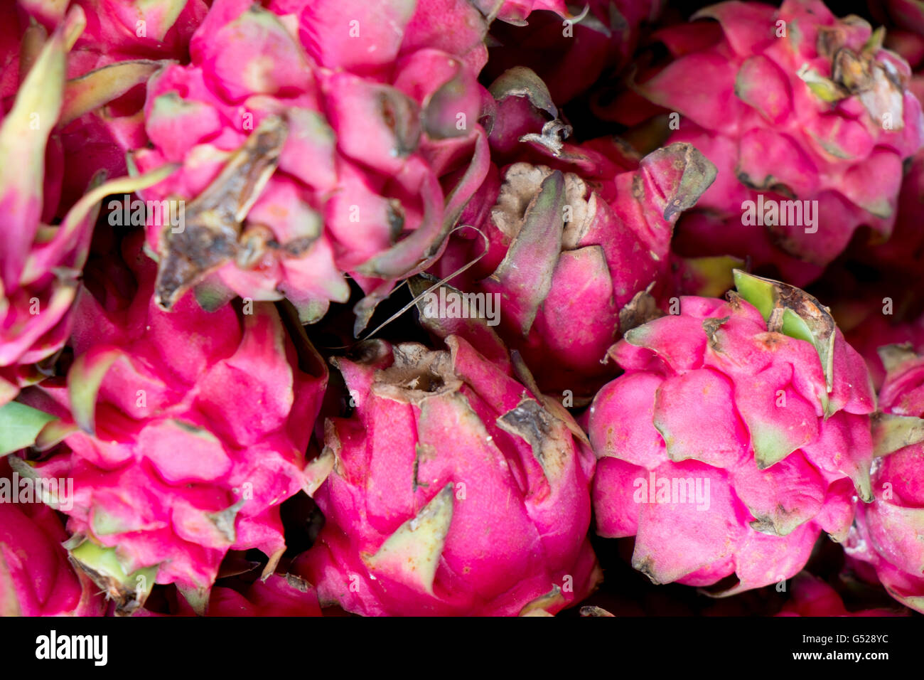 Pitaya, pitahaya o frutta di drago per la vendita in un mercato Foto Stock