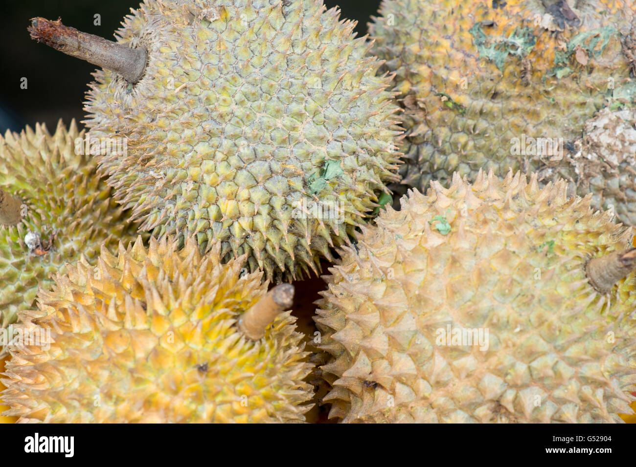 Frutta Durian in un mercato di strada Foto Stock