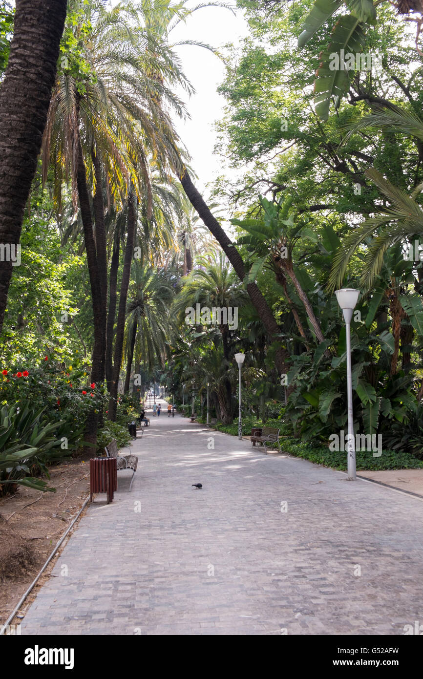 El Parque. Malaga, Spagna Foto Stock