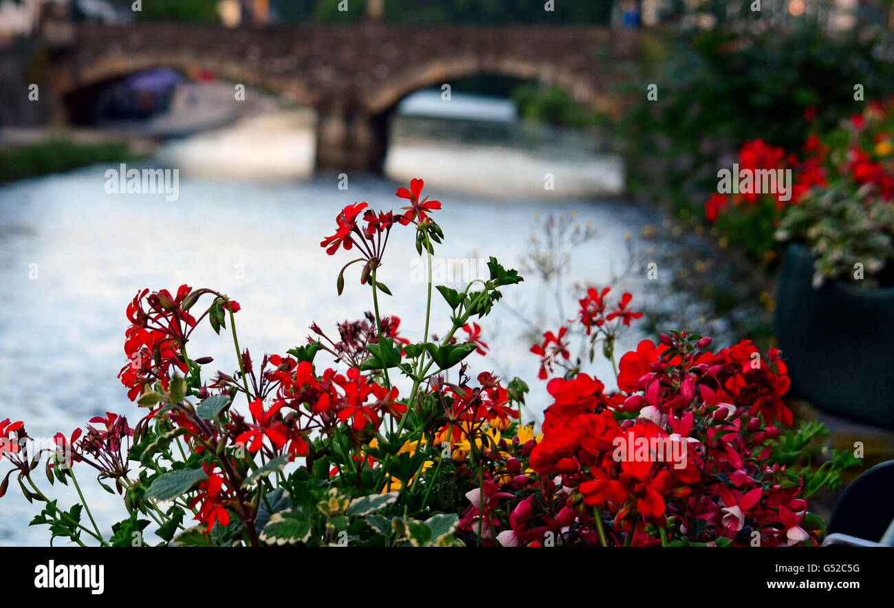 Presenza di acqua sotto il ponte, città vecchia e fiori di colore rosso Foto Stock
