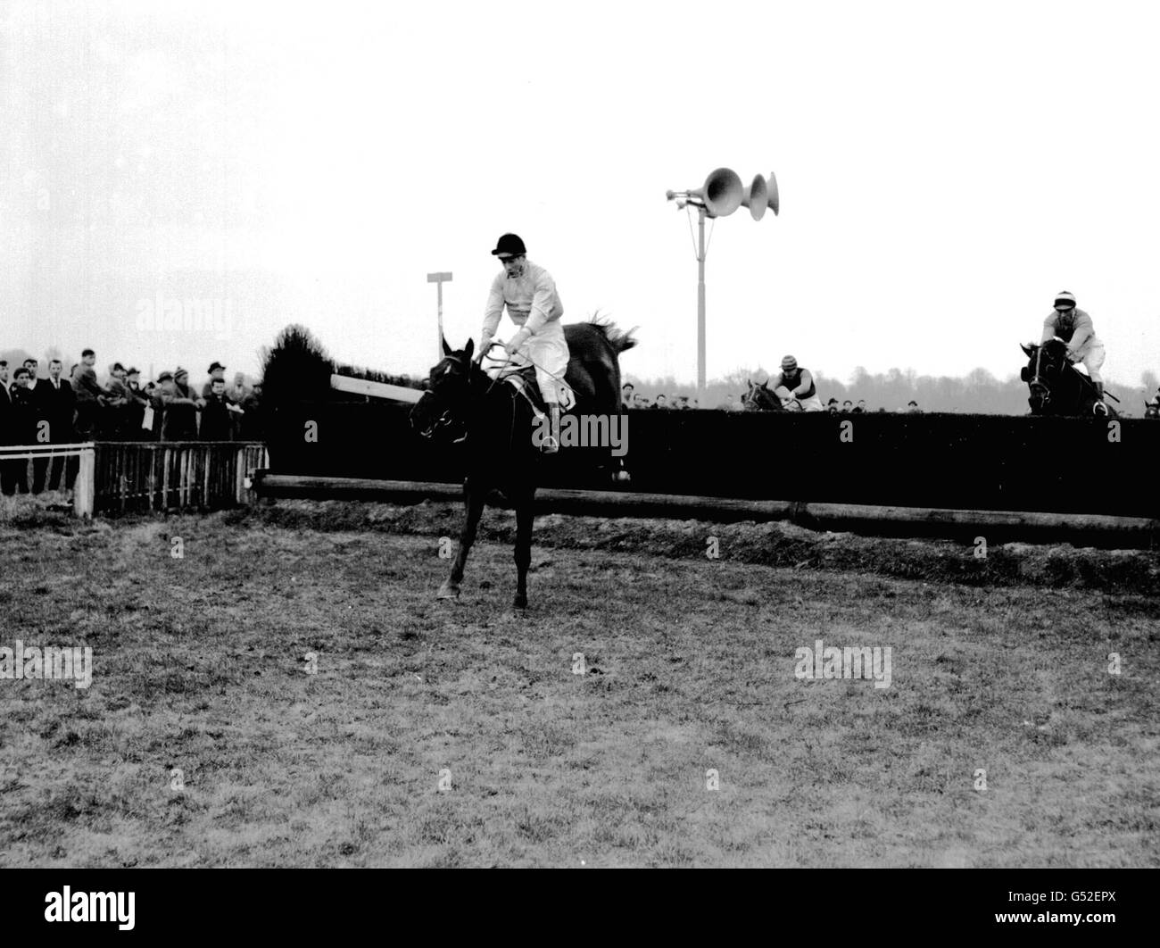 Silver Dome, guidata da W Rees, e di proprietà della Regina (la Regina Madre), prendendo l'ultima recinzione sulla sua strada per vincere la Portlane handicap Steeplechase a Kempton Park. Foto Stock