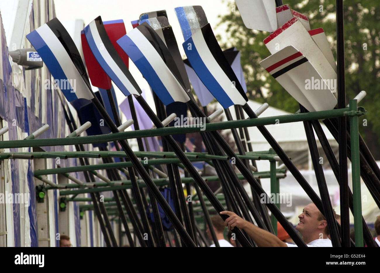 Henley Royal Regatta Oars. Un vogatore seleziona le lame a Henley, il primo giorno della regata reale. Foto Stock
