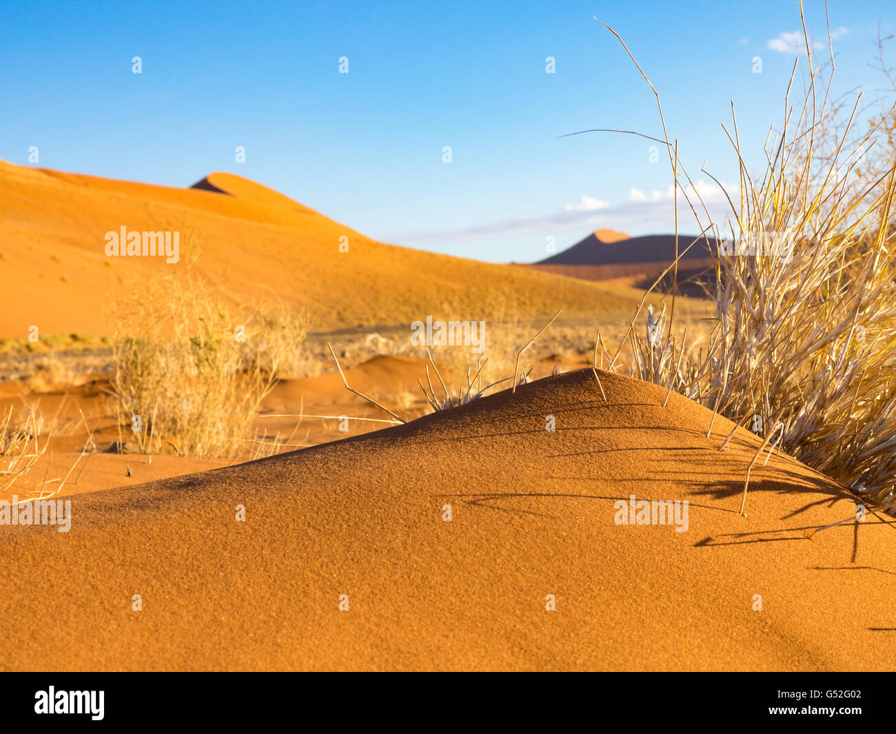 La Namibia, Hardap, Sossusvlei, heap di sabbia di fronte dune 45 Foto Stock