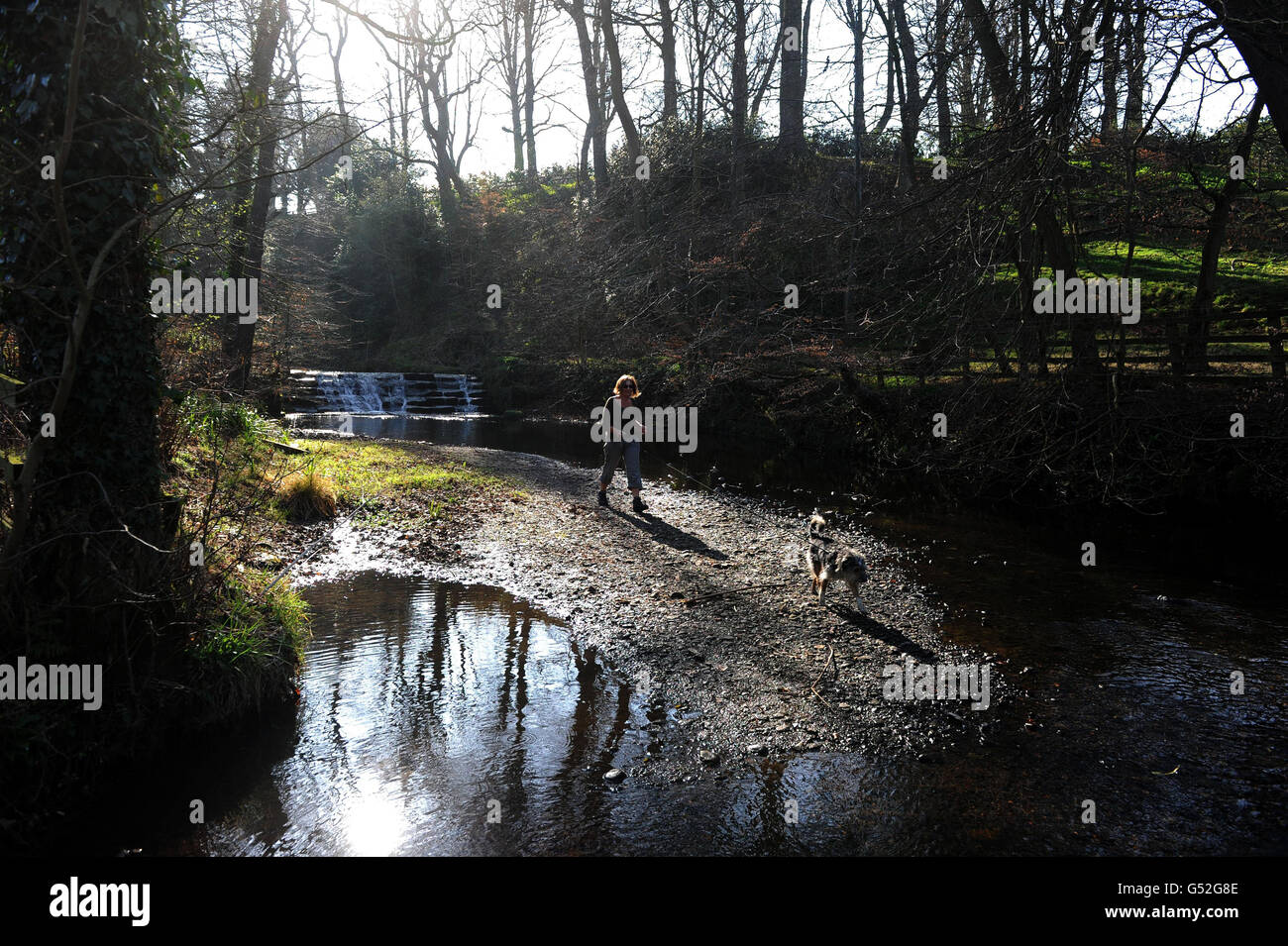 Un camminatore di cane fa la sua strada lungo il letto asciutto del fiume Riccal vicino Helmsley, North Yorkshire, come più zone del paese sono in siccità dopo un altro mese secco che ha colpito i fiumi e le forniture di acqua freatica. Foto Stock