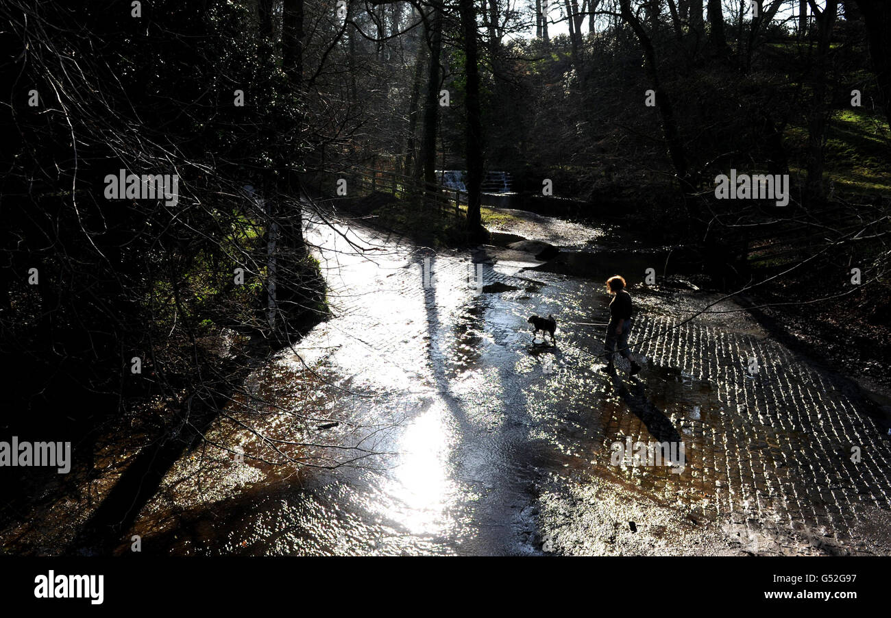 Un camminatore di cane fa la sua strada lungo il letto asciutto del fiume Riccal vicino Helmsley, North Yorkshire, come più zone del paese sono in siccità dopo un altro mese secco che ha colpito i fiumi e le forniture di acqua freatica. Foto Stock