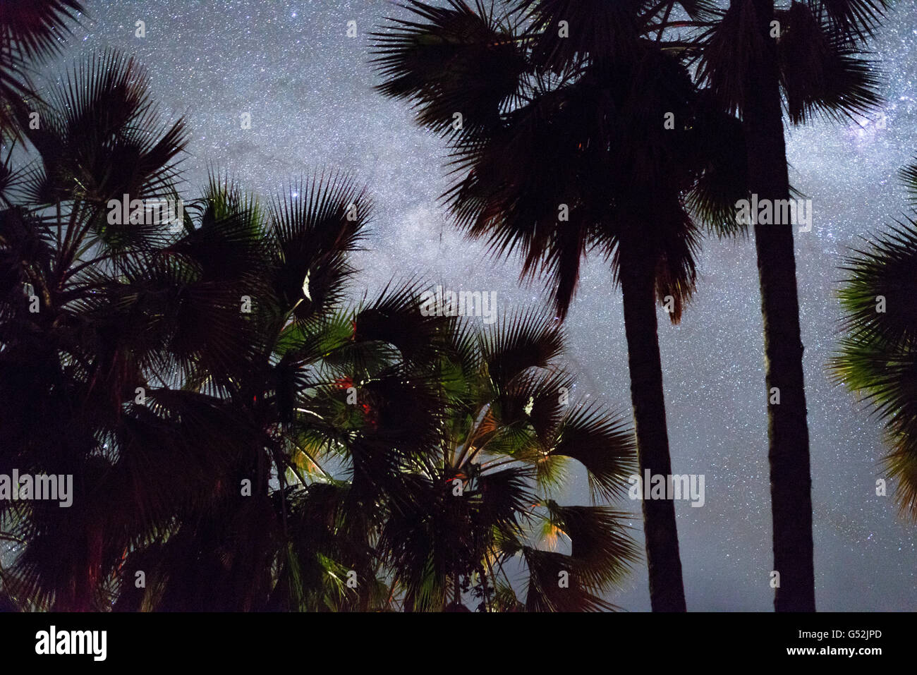 La Namibia, Kunene, Kaokoland, cielo stellato sopra la Namibia, la Via Lattea a Kunene Foto Stock