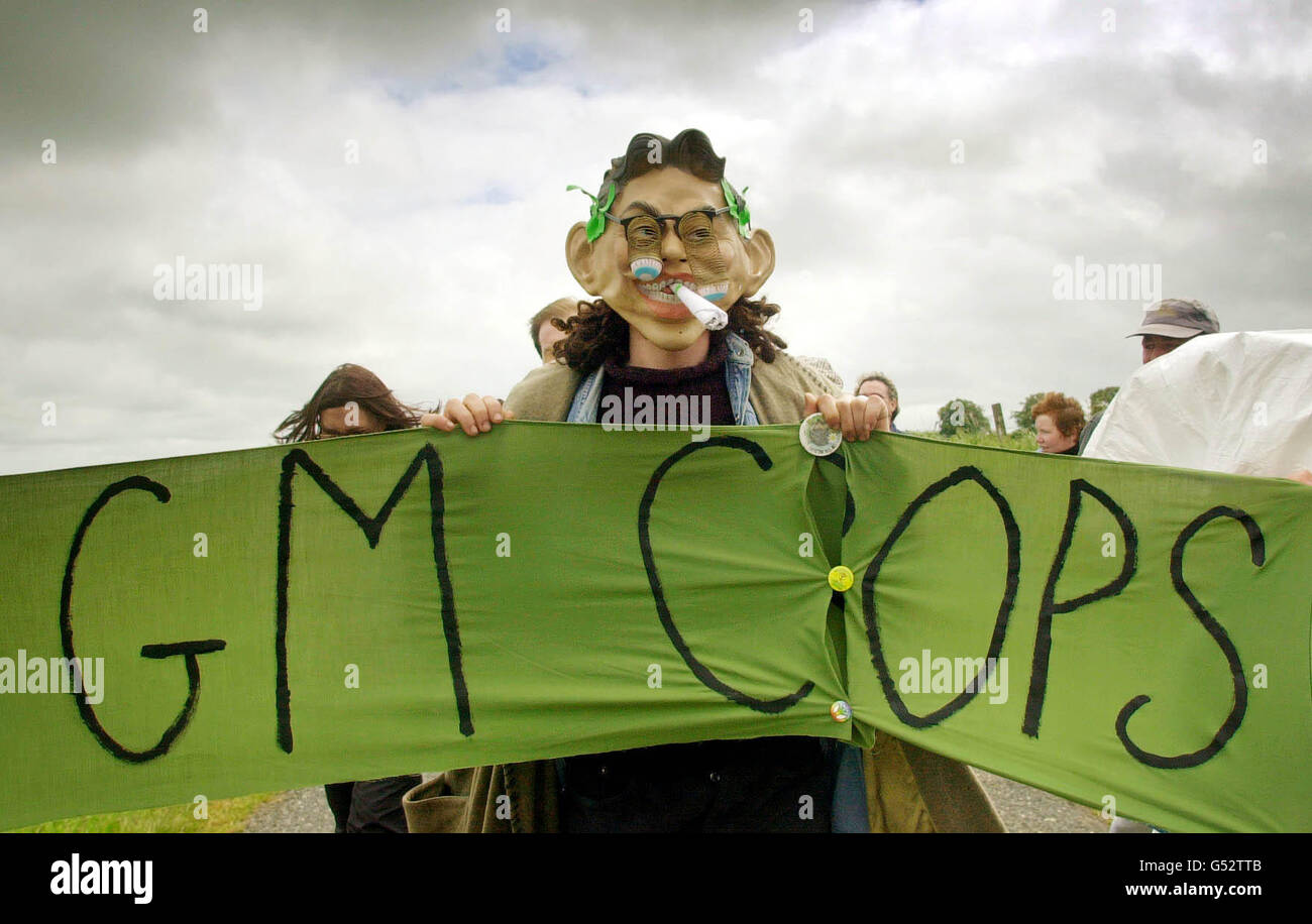 Un dimostratore di colture anti-GM del gruppo attivista ambientale Earth First, si porta al sito dell'unico sito di sperimentazione approvato dalla Scozia per le colture presso la New Craig Farm, vicino a Daviot, Aberdeenshire. 16/08/02 : un dimostratore di colture anti-GM del gruppo attivista ambientale Earth First, che si è fatto strada verso il sito dell'unico sito di sperimentazione approvato dalla Scozia per le colture della New Craig Farm, vicino a Daviot, Aberdeenshire. Foto Stock