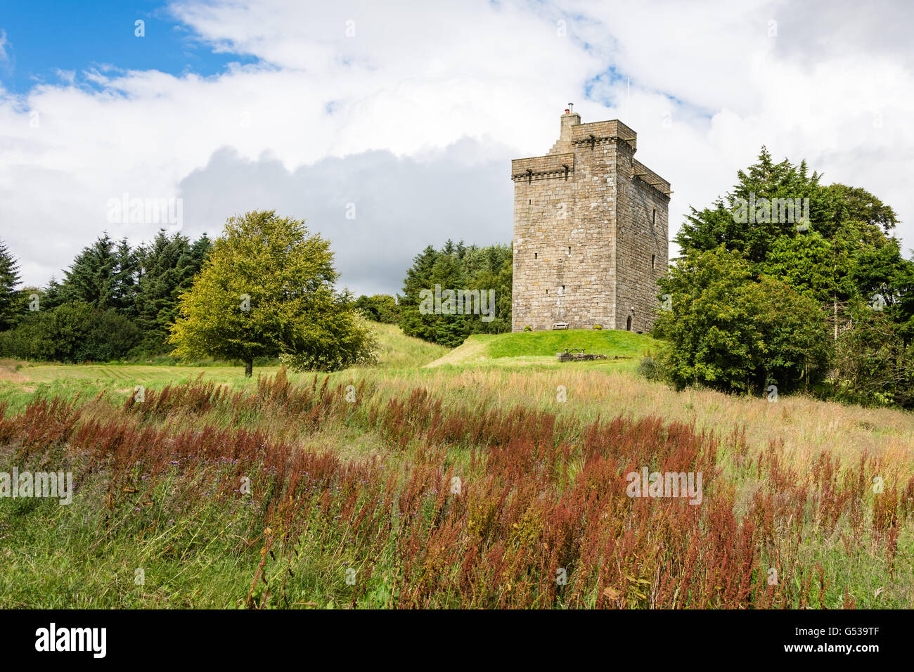 Regno Unito, Scozia, South Lanarkshire, East Kilbride, East Kilbride, Castello di rete Foto Stock