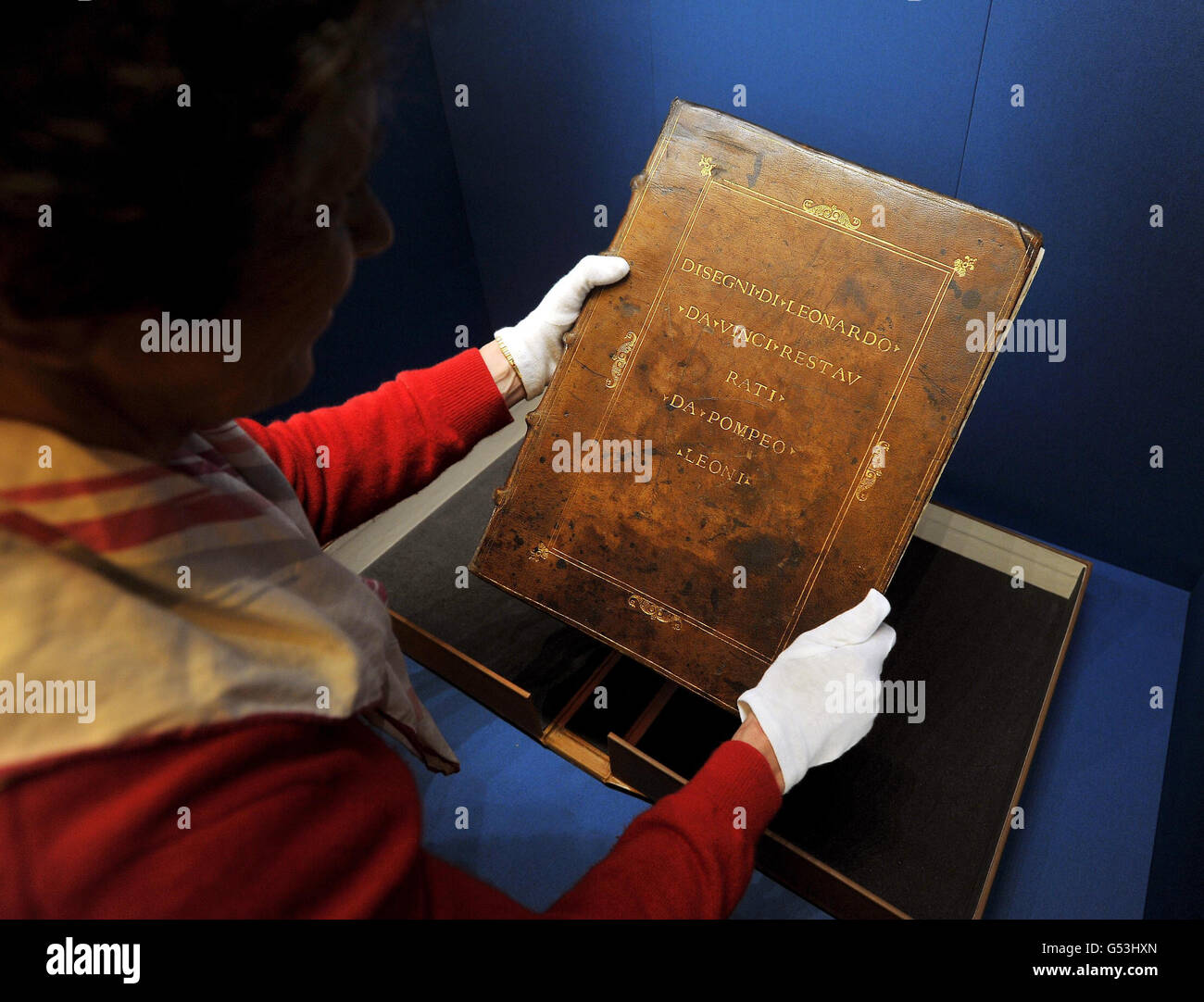 Mostra anatomista immagini e fotografie stock ad alta risoluzione - Alamy