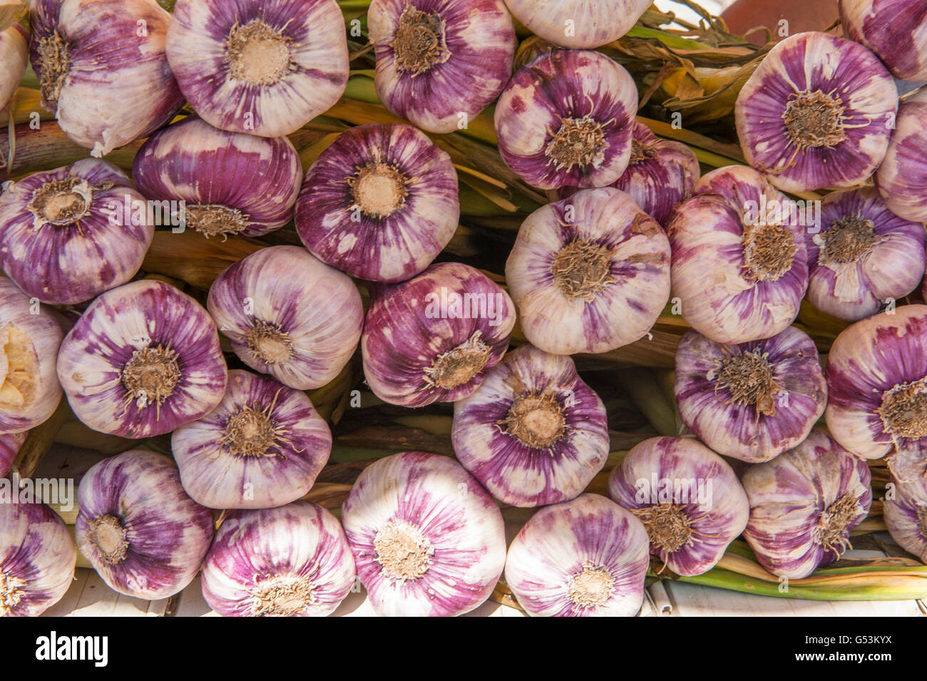 I mucchi di aglio in un mercato di Gruissan, Languedoc, Francia Foto Stock
